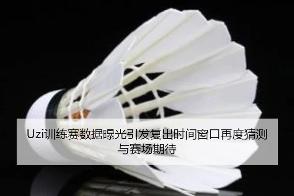 Uzi训练赛数据曝光引发复出时间窗口再度猜测与赛场期待
